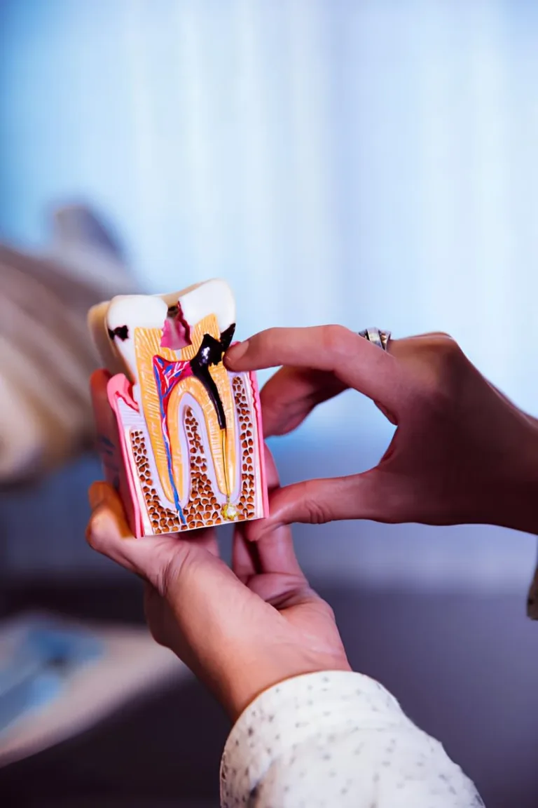 endodontia